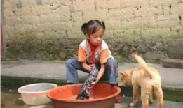 贫困山区孩子生活视频,挑战与希望并存